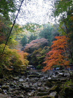 赤目四十八滝　渓谷風景