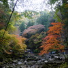 赤目四十八滝　渓谷風景