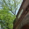 京都　ねじりまんぽ