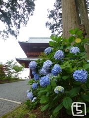 高野山　大門