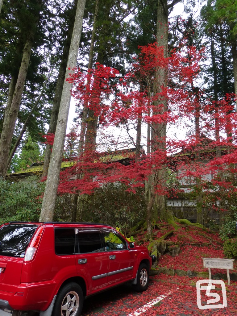 高野山　２０１６秋
