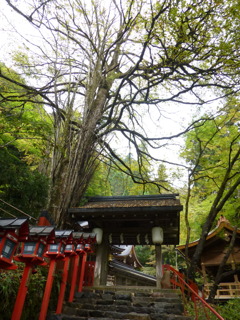 貴船神社　参道