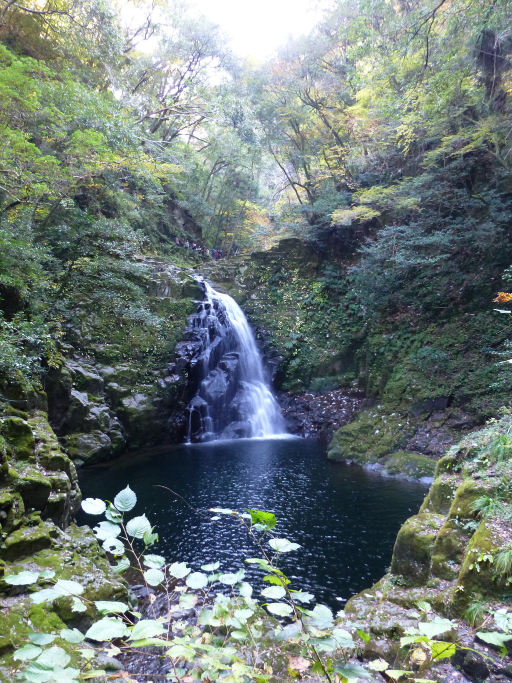 赤目四十八滝　不動滝