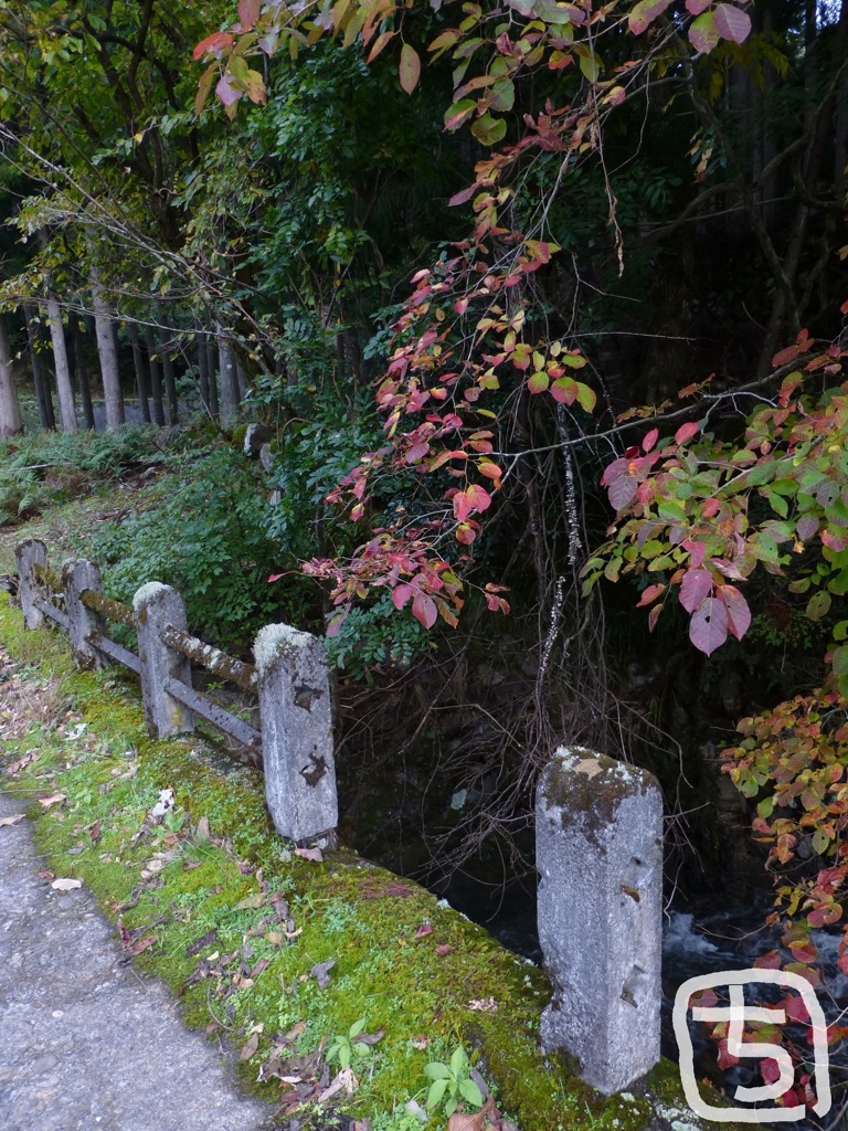 「紅葉と廃」