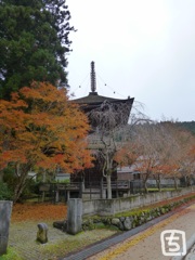 高野山　２０１６秋