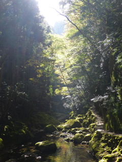 赤目四十八滝　渓谷風景