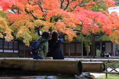 雷山千如寺_1