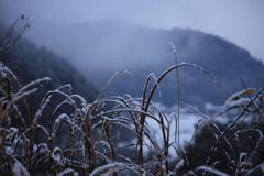 初雪