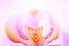 マクロへの入口・・・