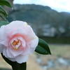 田舎風景