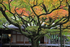 雷山千如寺_2