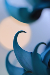 神秘