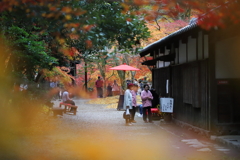 秋月城 紅葉_3