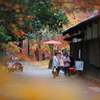 秋月城 紅葉_3