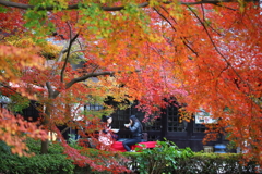 秋月城 紅葉_5