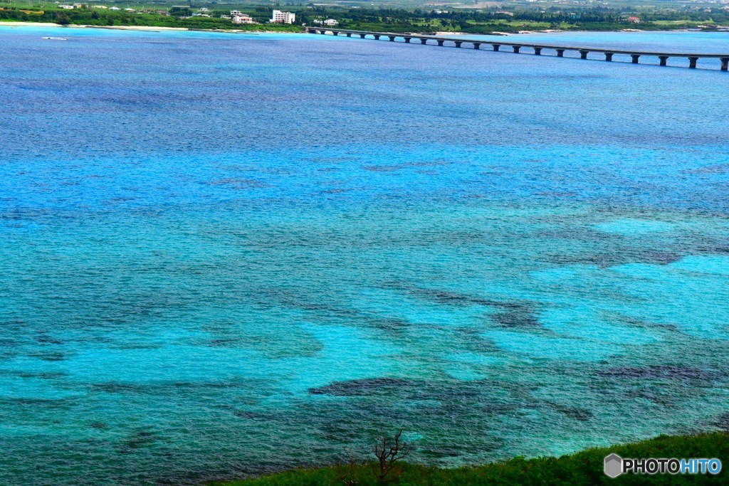 宮古ブルー