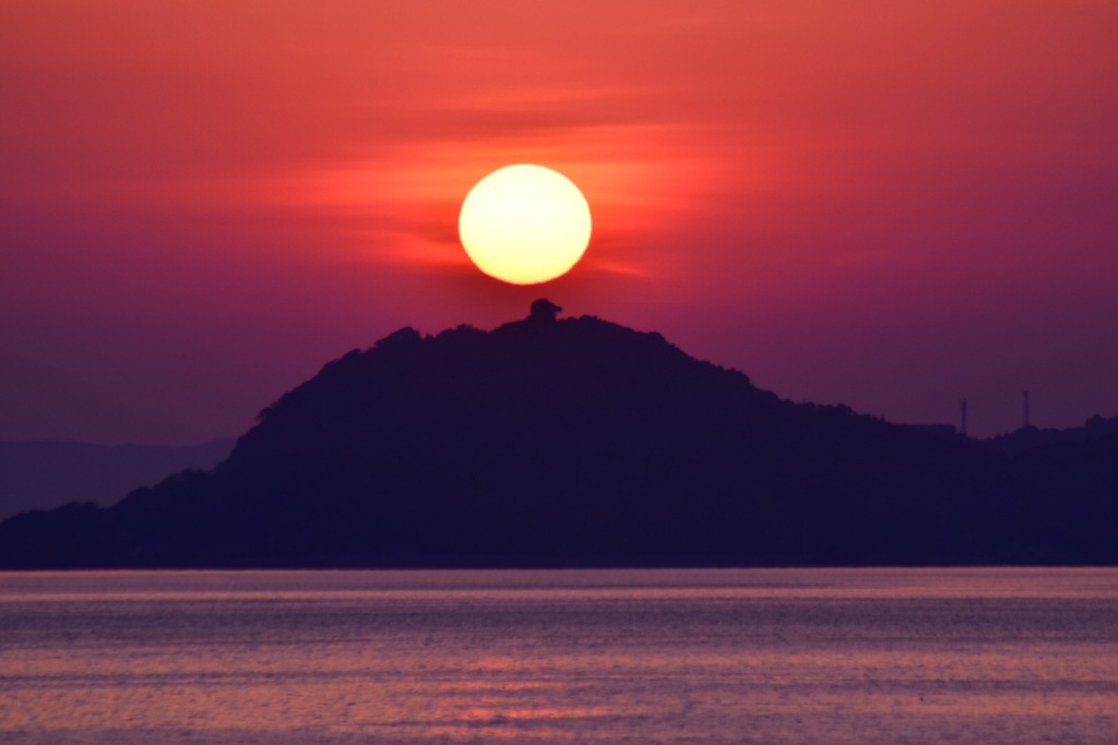 夕日。
