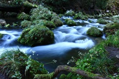 元滝伏流水