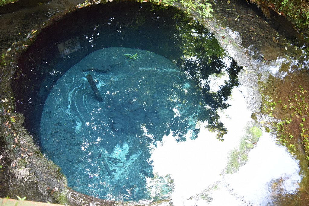 富士の湧水