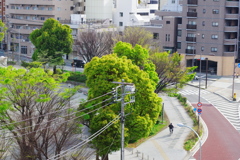 春の兆し