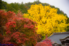 大窪寺