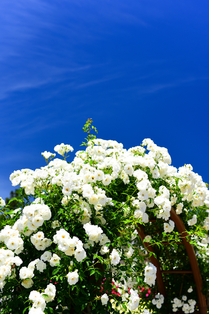 富士川クラフト3