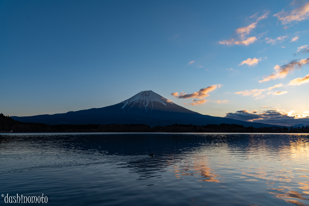 lake　たぬき　夜明け