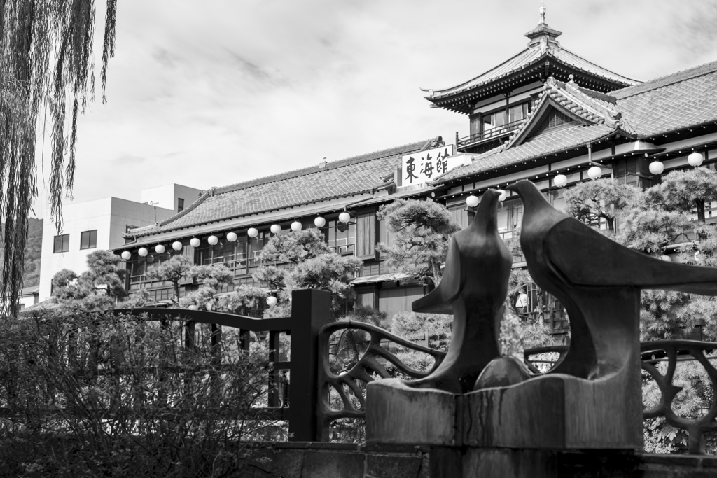 猫と伊東温泉