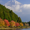 田貫湖秋散歩