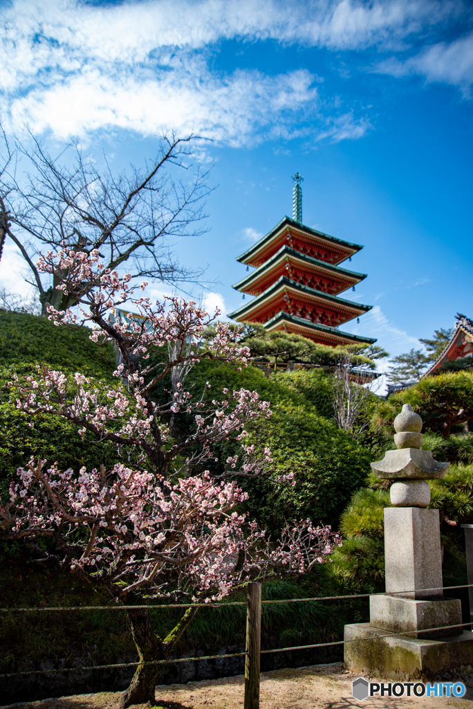 耕三寺