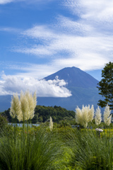 富士山散歩