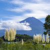 富士山散歩