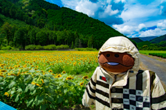 ひまわりなめこ