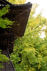 西山本門寺　散歩