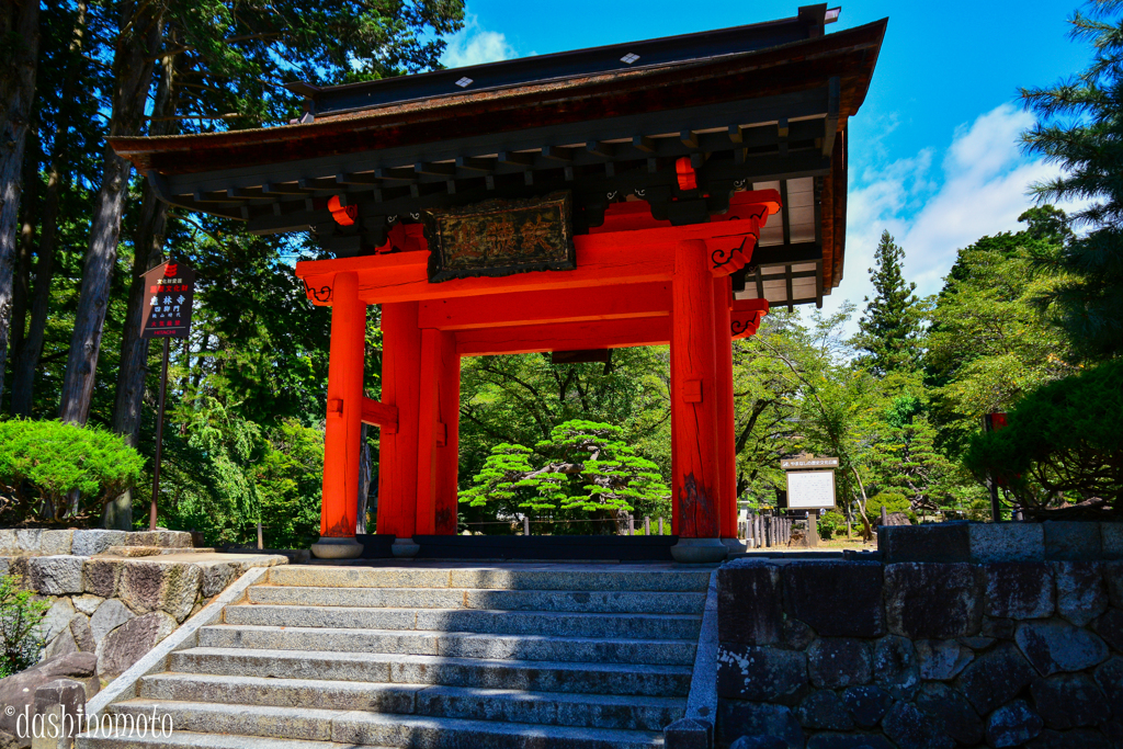 山梨夏　寺ネコ探し