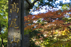 2024　高尾山秋冬