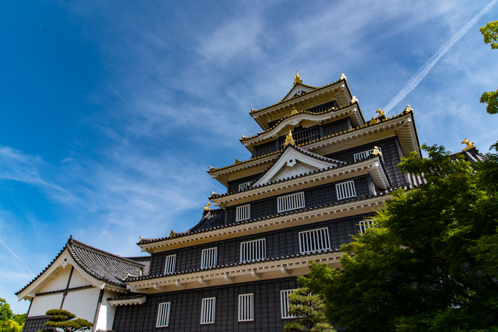 岡山　後楽園　岡山城13