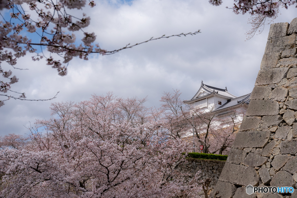 春　津山城