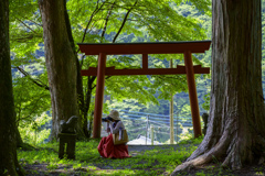 ある夏の日