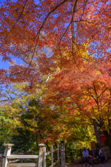 猿橋スナップ散歩