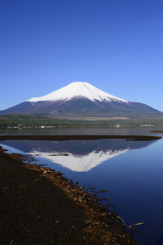 五月の山中湖