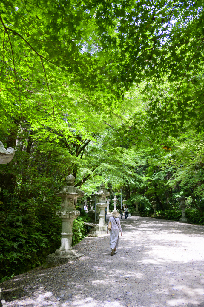 夏神社