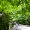 夏神社