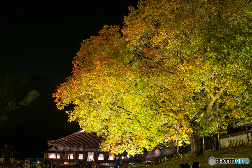 旧閑谷学校 ライトアップ１ By だしの素 Id 写真共有サイト Photohito