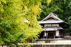 西山本門寺　散歩