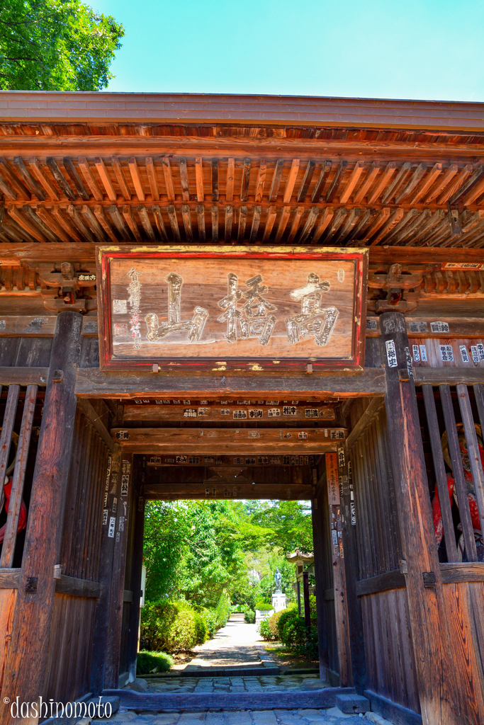 山梨夏　寺ネコ探し