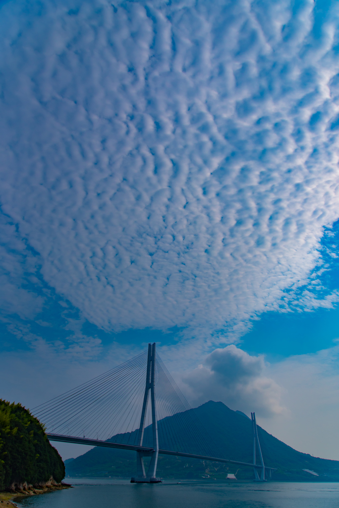 多々羅大橋