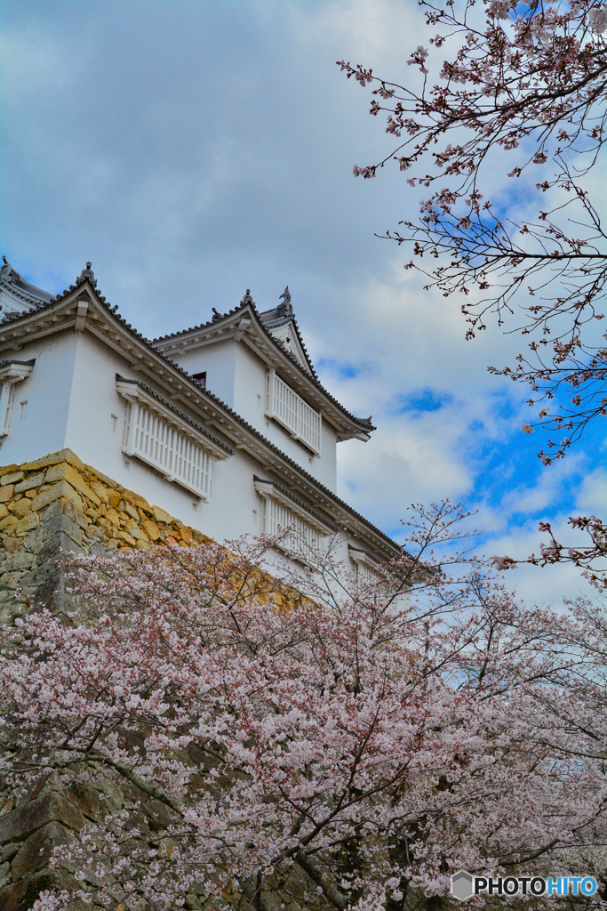 春　津山城