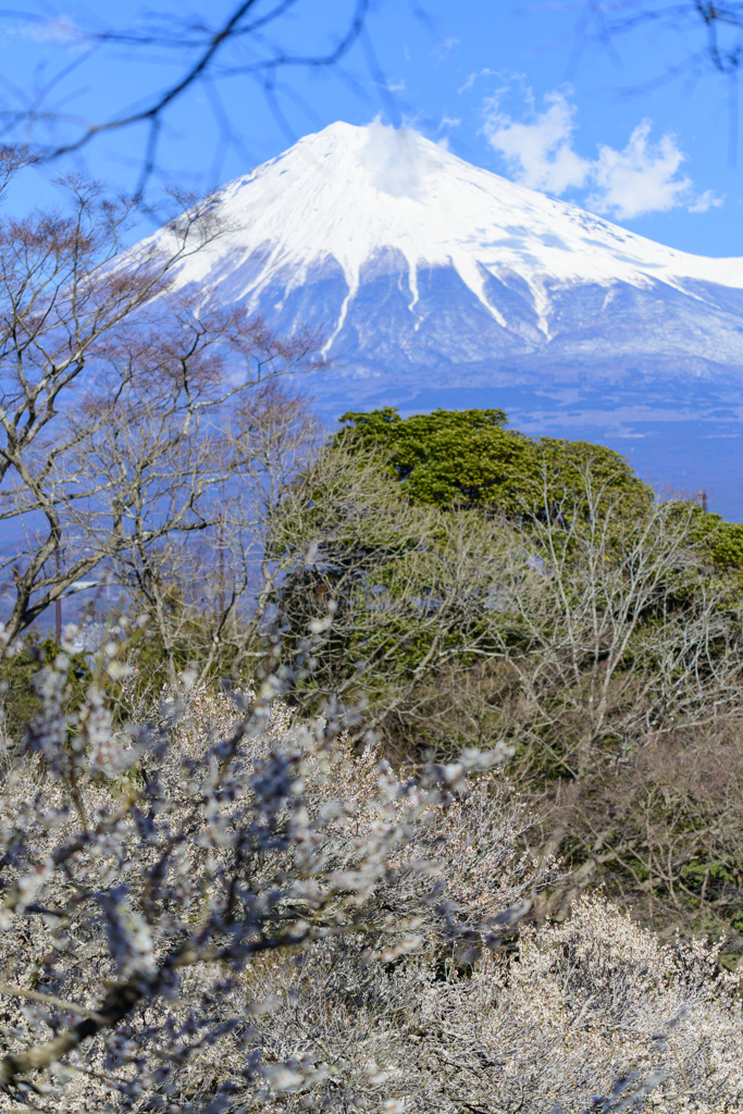 なるべく大きな富士山