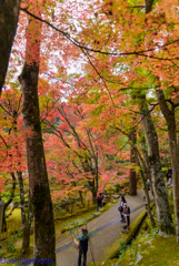 大窪寺